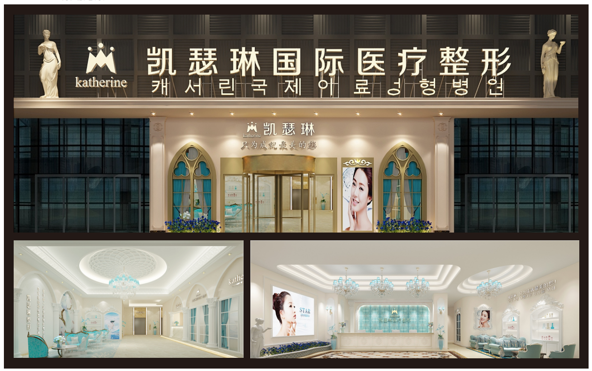 VIS视觉识别系统